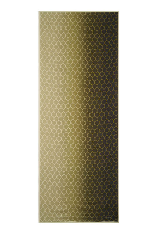 Cage Gradient Green Flush Viscose Shawl - 2