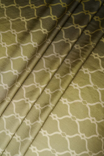 Cage Gradient Green Flush Viscose Shawl - 6