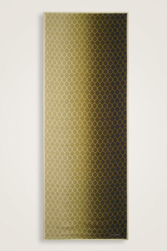 Cage Gradient Green Flush Viscose Shawl - 2