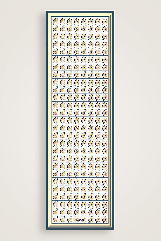 Esma Koleksiyonu [Ç] Gündüz Pamuk İpek Şal 70x200 - 1