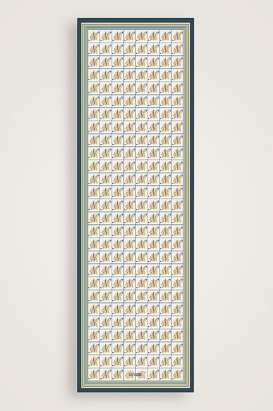 Esma Koleksiyonu [N] Gündüz Pamuk İpek Şal 70x200 - 1