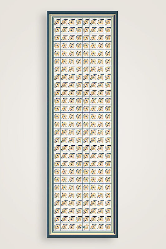 Esma Koleksiyonu [T] Gündüz Pamuk İpek Şal 70x200 - 1