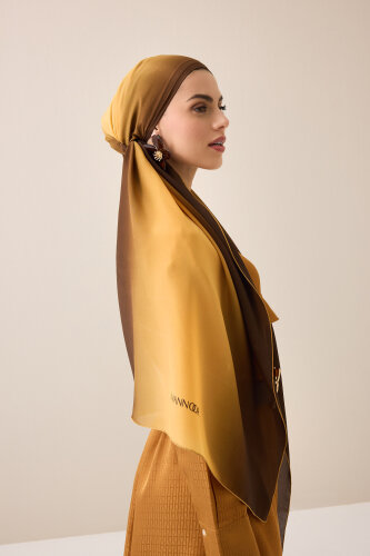 Gradient Brown-Copper Crepe Silk Shawl - 3