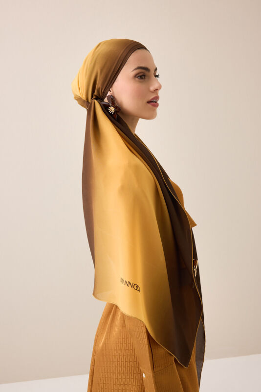 Gradient Brown-Copper Crepe Silk Shawl - 3