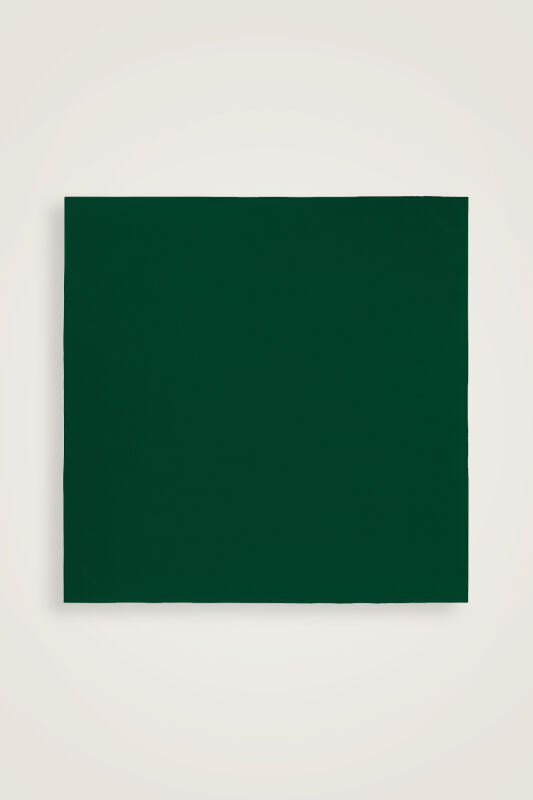 Solid Color Khaki-Emerald Double-Sided Silk Scarf - 2