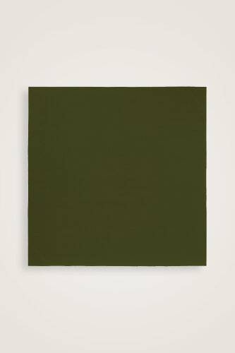 Solid Color Khaki-Emerald Double-Sided Silk Scarf - 3