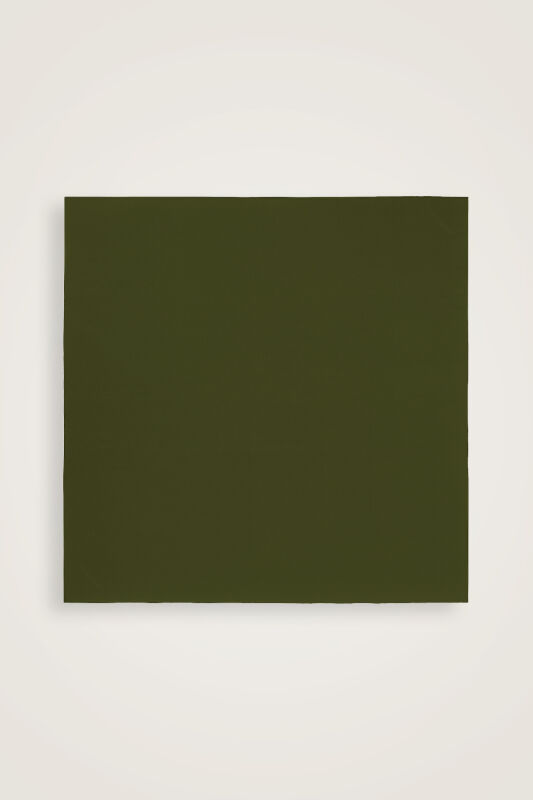 Solid Color Khaki-Emerald Double-Sided Silk Scarf - 3